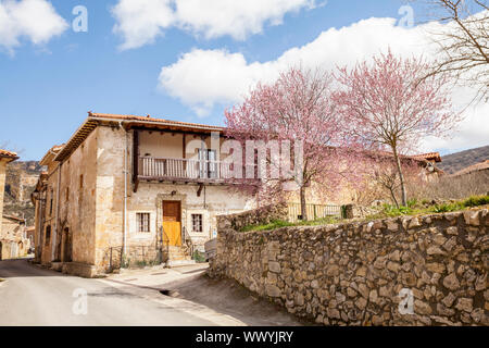 Pesquera de Ebro, village région Paramos, Burgos, Espagne Banque D'Images