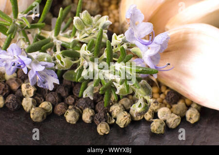 Les herbes et les épices. rosematy, ail, laurier, poivre, muscade, alt, vanille, cardamome Banque D'Images