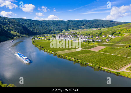 Bateau de croisière sur la rivière Moselle à Mehring, vallée de la Moselle, Rhénanie-Palatinat, Allemagne, Europe Banque D'Images