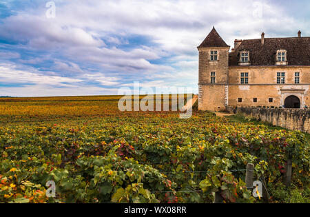 Chateau de vignes dans la saison d'automne, Bourgogne, France Banque D'Images