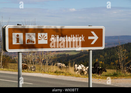 Vache avec une vue sur le paysage de forêt de Thuringe Banque D'Images