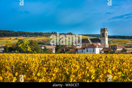 Chateau de vignes dans la saison d'automne, Bourgogne, France Banque D'Images