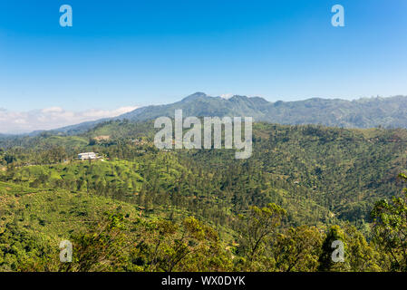 Voir à la direction de Badulla 2 035 mètres de haut Namunukula mountain Banque D'Images