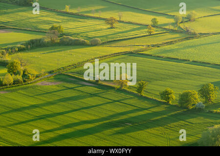 Patchwork des champs dans le parc national de Brecon Beacons, Powys, Pays de Galles, Royaume-Uni, Europe Banque D'Images