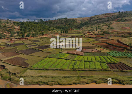 La culture de légumes et la fabrication de briques sur les champs de riz, la route nationale RN7 entre Antsirabe et Antananarivo, Madagascar, Afrique Banque D'Images