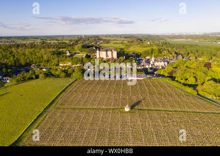 Le château de l'antenne et les vignobles de Luynes, Indre et Loire, France, Europe Banque D'Images