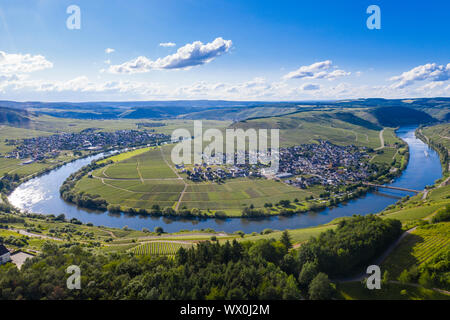 La Moselle à Trittenheim, vallée de la Moselle, Rhénanie-Palatinat, Allemagne, Europe Banque D'Images