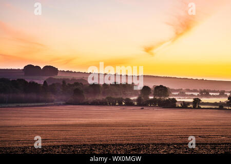 A la fin de l'été le lever du soleil sur la Marlborough Downs, près de West Kennet. Banque D'Images