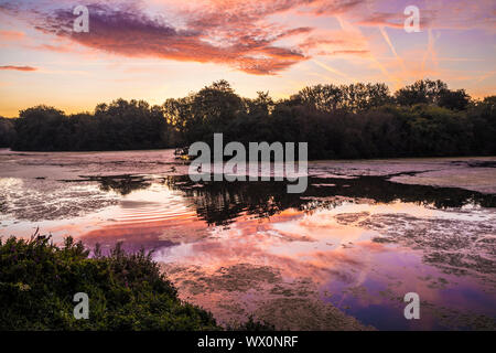 Le lever du soleil sur un petit lac appelé Liden Lagoon à Swindon, Wiltshire. Banque D'Images