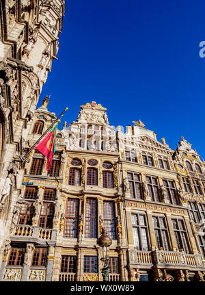 Maisons à Grand Place, UNESCO World Heritage Site, Bruxelles, Belgique, Europe Banque D'Images