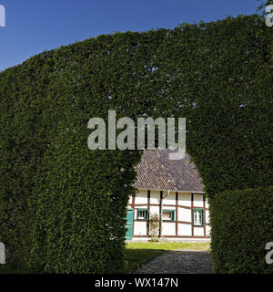 Maison à pans de bois d'un mètre de haut derrière haie avec voûte, Monschau, Eifel, Allemagne, Europe Banque D'Images