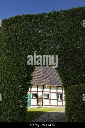 Maison à pans de bois d'un mètre de haut derrière haie avec voûte, Monschau, Eifel, Allemagne, Europe Banque D'Images