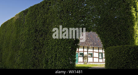 Maison à pans de bois d'un mètre de haut derrière haie avec voûte, Monschau, Eifel, Allemagne, Europe Banque D'Images