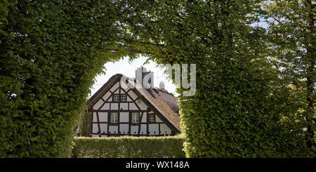 Maison à pans de bois d'un mètre de haut derrière haie avec voûte, Monschau, Eifel, Allemagne, Europe Banque D'Images