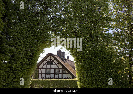 Maison à pans de bois d'un mètre de haut derrière haie avec voûte, Monschau, Eifel, Allemagne, Europe Banque D'Images