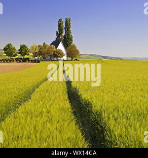 Paysage de champ avec petite chapelle Heilig-Kreuz-Kapelle, Mertloch, Eifel, Allemagne, Europe Banque D'Images