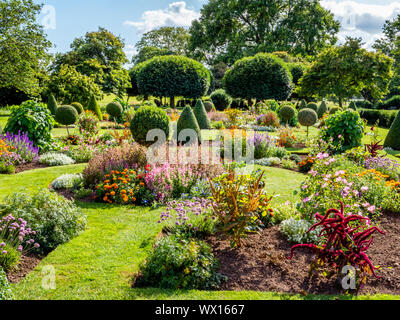 Parterre de fleurs et de topiaires à Wesbury Jardin Cour un style hollandais du 17ème siècle les jardins d'eau à Westbury sur Severn Gloucestershire UK Banque D'Images