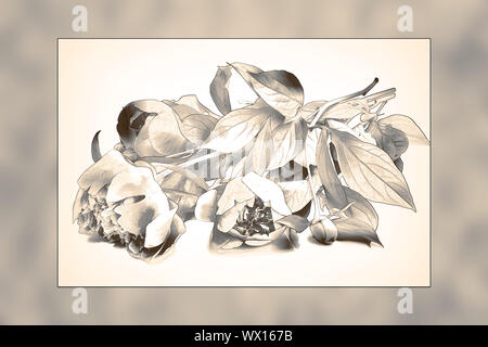 Image abstraite d'un bouquet de pivoines sous la forme d'un dessin au crayon. Banque D'Images