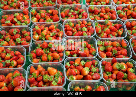 Les conteneurs en plastique de fraises sur un étal du marché Banque D'Images