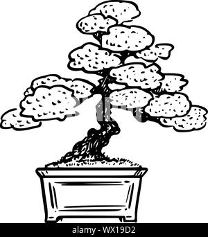 Vector illustration conceptuelle de dessin animé de pine bonsai. Illustration de Vecteur