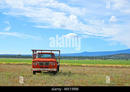 Un camion Dodge 1965 300 assis dans un champ après avoir été abandonné par l'agriculteur qui la possède. Banque D'Images