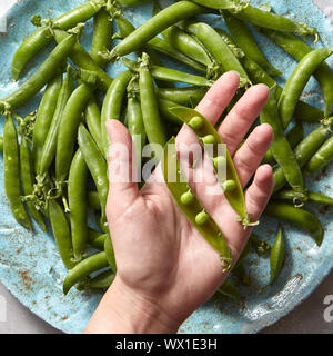 Bâtonnets de poire sur une femme part et bio légumes verts fraîchement cueillis pour la préparation de salades végétariennes sur la plaque en céramique bleue. Fl Banque D'Images