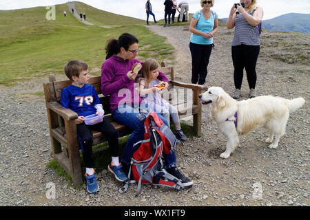 Un chien à la recherche avidement à une famille de trois s'assit sur un banc à manger leurs sandwiches, Latrigg, Lake District, UK Banque D'Images