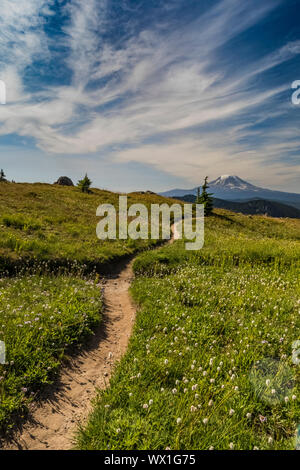 Pacific Crest Trail et le Mont Adams vu de la chèvre sauvage des Rochers, Gifford Pinchot National Forest, Washington State, USA Banque D'Images