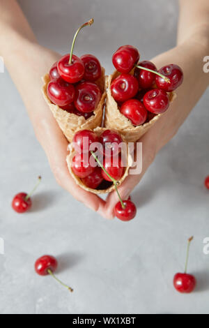 Mains d'une femme tenant avec de grandes tasses de gaufrette croustillante de cerise mûre des baies au-les sur un tableau gris. Banque D'Images