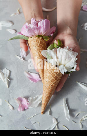 Carte postale créative de cônes gaufrette avec fleurs de pivoine doux dans une mains filles de pétales sur un fond de béton gris. Banque D'Images