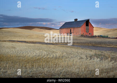 Une grange rouge se trouve dans le champ de blé récolté dans la région de Palouse eastern Washington. Banque D'Images