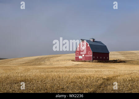 Une grange rouge se trouve dans un champ moissonné avec la levée du brouillard dans l'Est de Washington. Banque D'Images