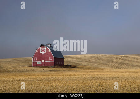 Une grange rouge se trouve dans un champ moissonné avec la levée du brouillard dans l'Est de Washington. Banque D'Images