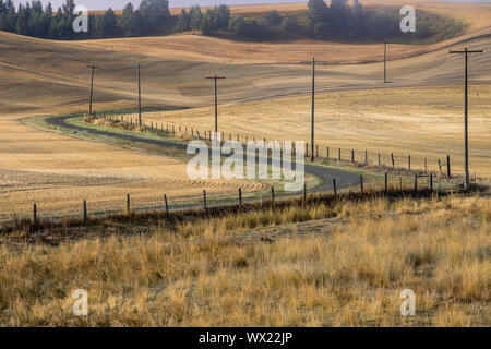 Une route de campagne sinueuse coupant à travers le paysage de la région de palouse dans l'Est de Washington. Banque D'Images