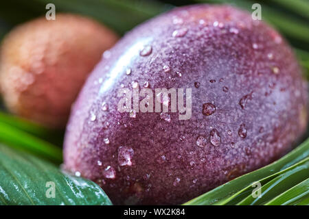 Close-up de fruits de la passion dans une gouttes d'eau - fresh Juicy Fruits exotiques avec des feuilles tropicales. Banque D'Images