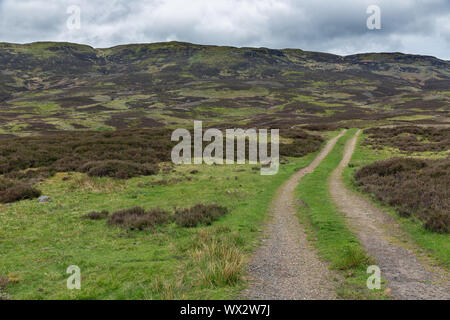 Unpaved country road in Highlands écossais près de Loch Tay Banque D'Images