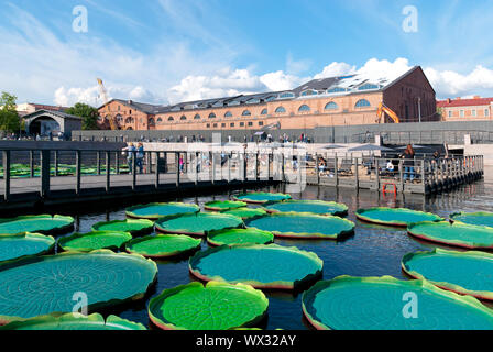 SAINT-Pétersbourg, Russie - le 7 juillet 2019 : les gens sur l'île de New Holland regarde l'étang avec Victoria Amazonica décorations de l'eau artificiel, lily-pads Banque D'Images