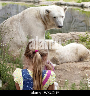 Photographier ours enfant fille glace glace Nanook et Maman ourse Lara dans le ZOOM Erlebniswelt Banque D'Images