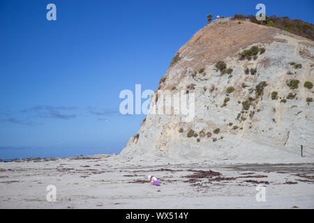 White cliff view à Kaikoura Peninsula Walkway, Nouvelle Zélande Banque D'Images