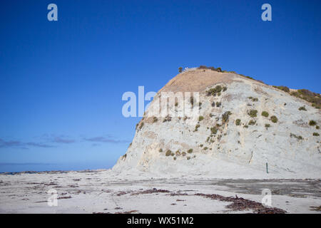 White cliff view à Kaikoura Peninsula Walkway, Nouvelle Zélande Banque D'Images