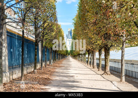 Dans l'allée du parc de la ville à l'automne Banque D'Images