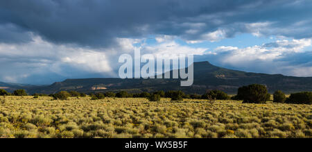 Panorama d'un ciel d'orage sur une plaine couverte de mesa et de l'armoise et parsemée de fleurs sauvages jaune - Cerro Pedernal près de Abiquiu, Nouveau Mexique Banque D'Images