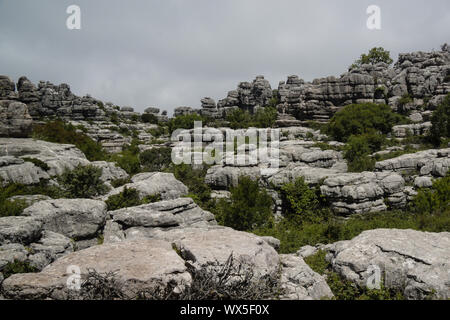 Parc national El Torcal Antequera Malaga Banque D'Images