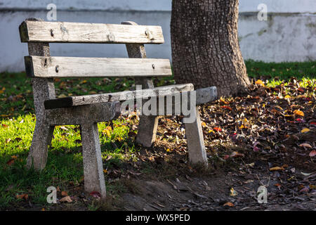 Banc vide dans le parc en automne Banque D'Images