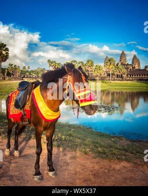 Angkor Wat temple au coucher du soleil. Siem Reap. Cambodge Banque D'Images