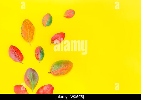 Composition florale d'automne. Plantes feuilles colorés frais isolé sur fond jaune à la mode. Automne fond d'écologie naturelle concept. Vue supérieure mise à plat Banque D'Images
