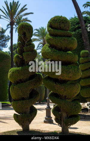 Très beau parc public genovese, chemin avec des formes inhabituelles et conçoit des arbres dans l'une des plus ancienne ville d'Europe, Cadix, Andalousie, Espagne Banque D'Images
