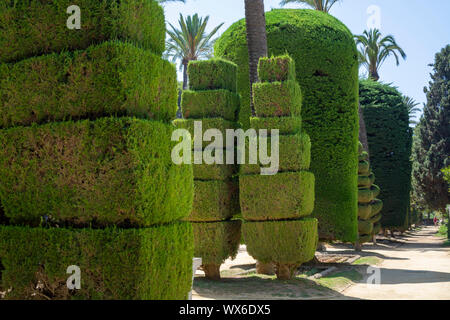 Très beau parc public genovese, chemin avec des formes inhabituelles et conçoit des arbres dans l'une des plus ancienne ville d'Europe, Cadix, Andalousie, Espagne Banque D'Images