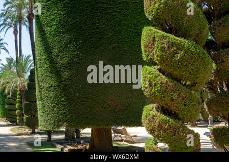 Très beau parc public genovese, chemin avec des formes inhabituelles et conçoit des arbres dans l'une des plus ancienne ville d'Europe, Cadix, Andalousie, Espagne Banque D'Images