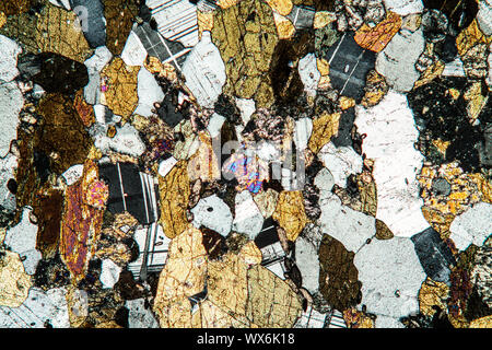 L'amphibolite rock 50x Banque D'Images